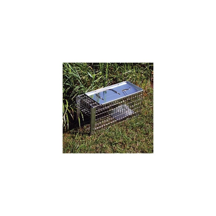 STV Live Rat & Small Animal Cage Trap