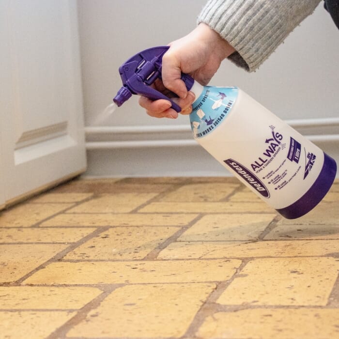 STV  All Ways Home & Garden Sprayer - 1L