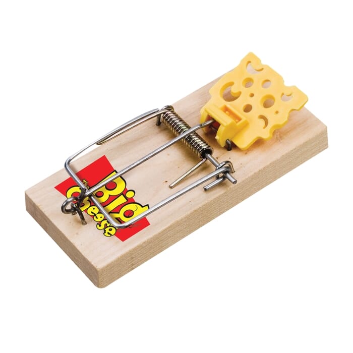 STV  Cheese Pedal FSC Rat Trap
