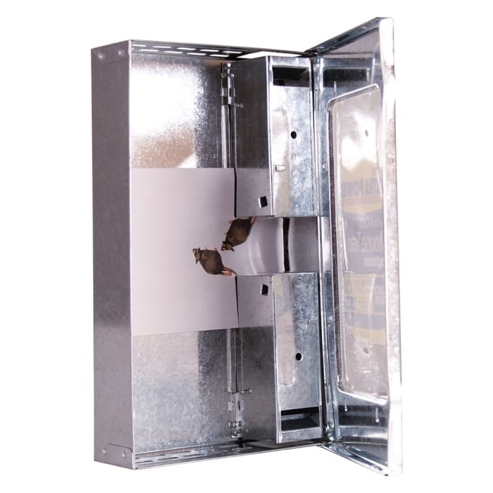 STV177-STV Live Multi-Catch Mouse Trap