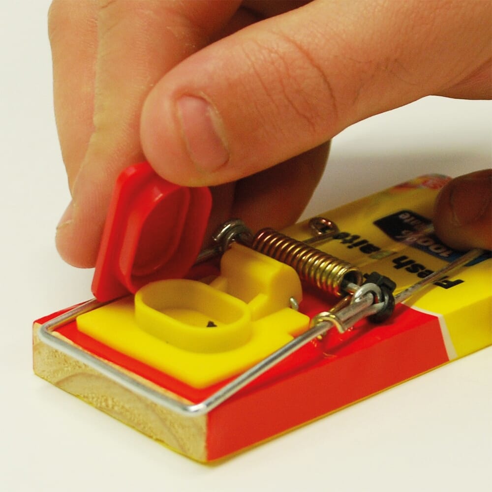 STV  Fresh Baited Mouse Trap