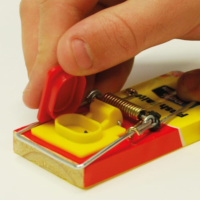 STV  Fresh Baited Mouse Trap - Twinpack