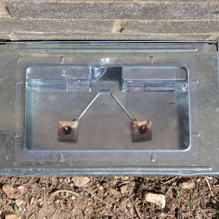 STV  Ready-Baited Live Multi-Catch Mouse Trap