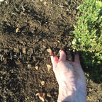 STV  Prickle Strip Dig Stopper - 2m