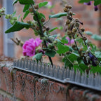STV  Prickle Strip Garden Fence Topper - 45cm