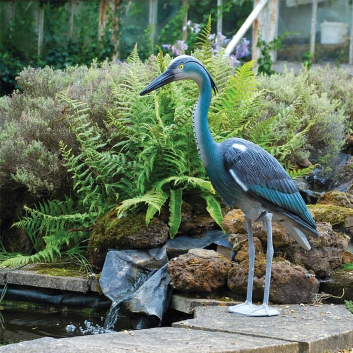 STV  Heron