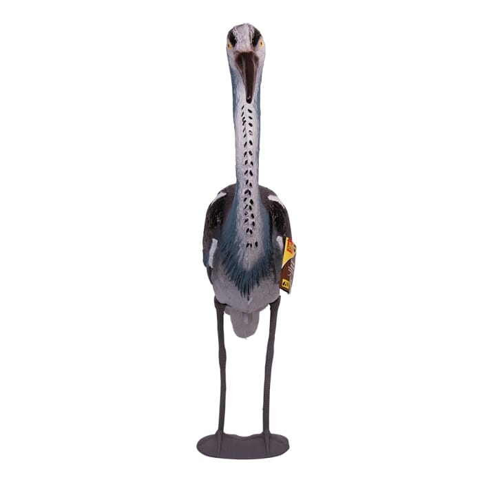 STV  Heron