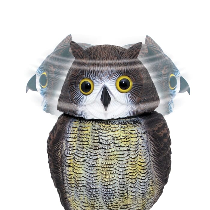 STV Wind-Action Owl