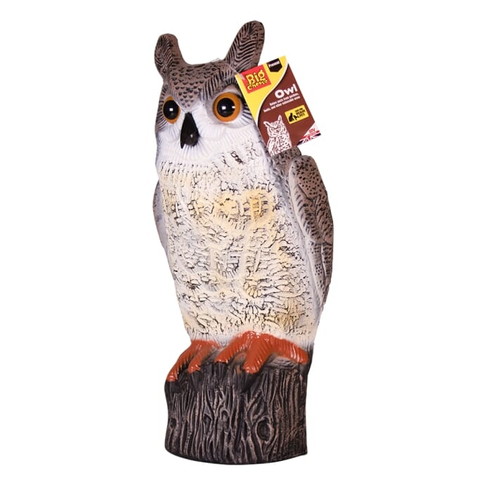 STV  Owl