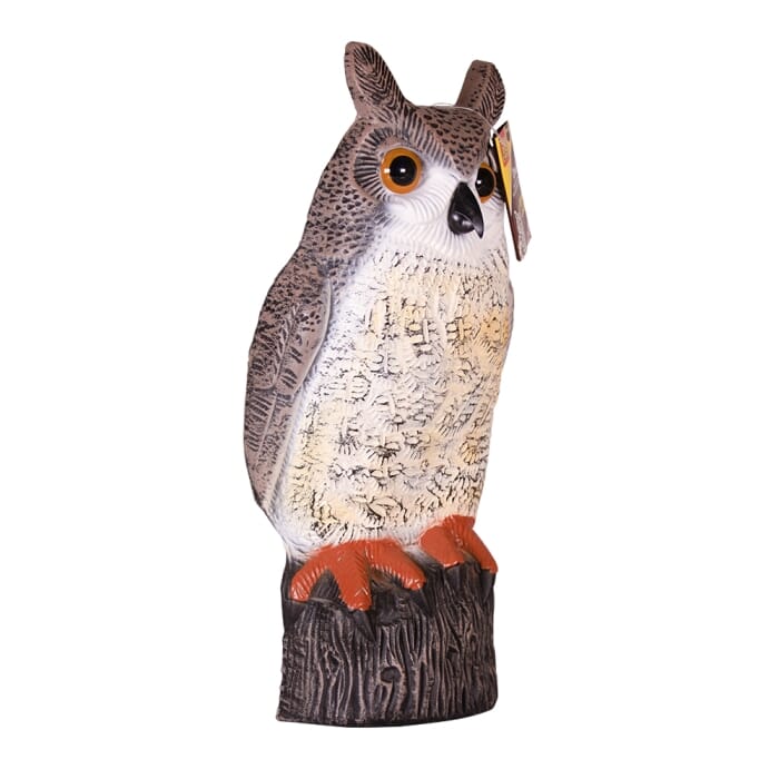 STV  Owl