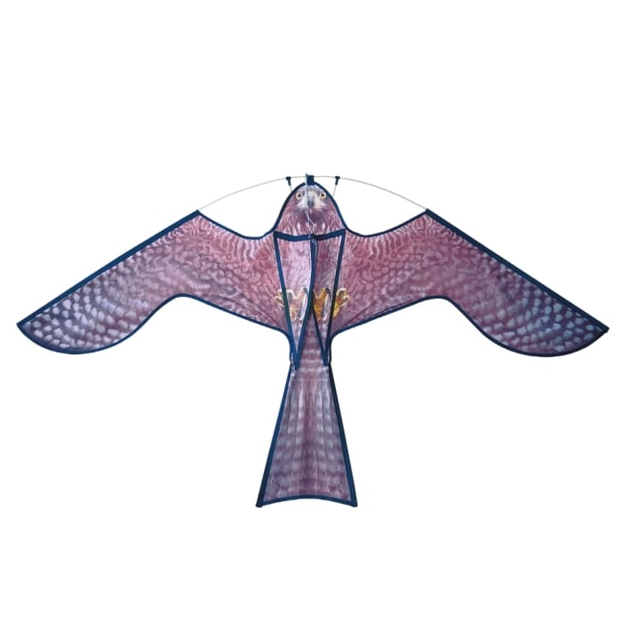 STV Hawk Kite Bird Scarer