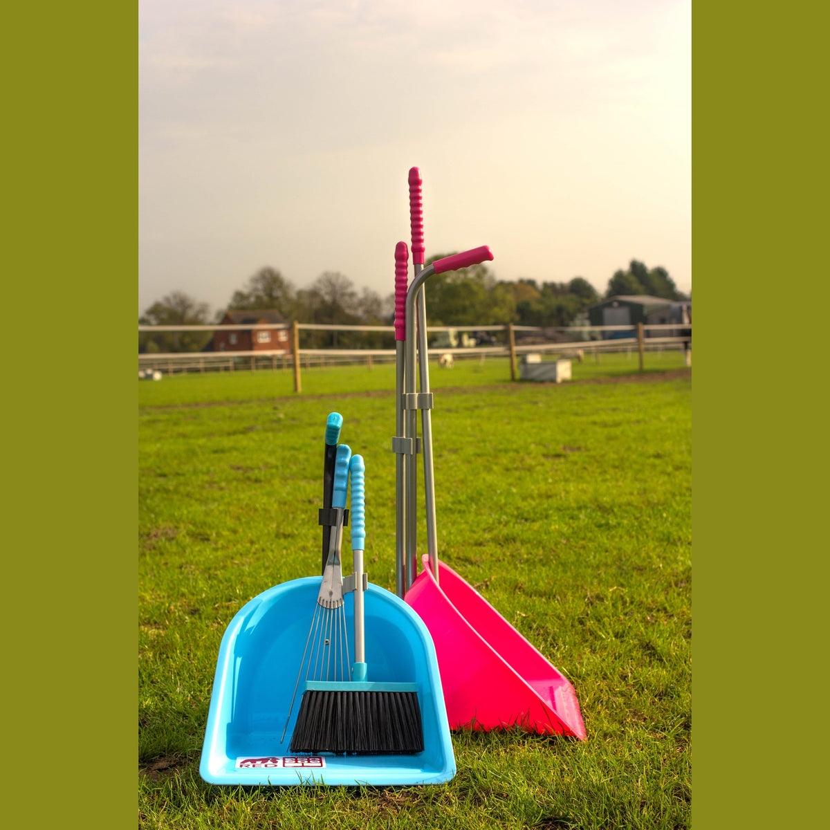 Red Gorilla Tidee Companion Set - Sky Blue (Tidee + Rake + Broom)