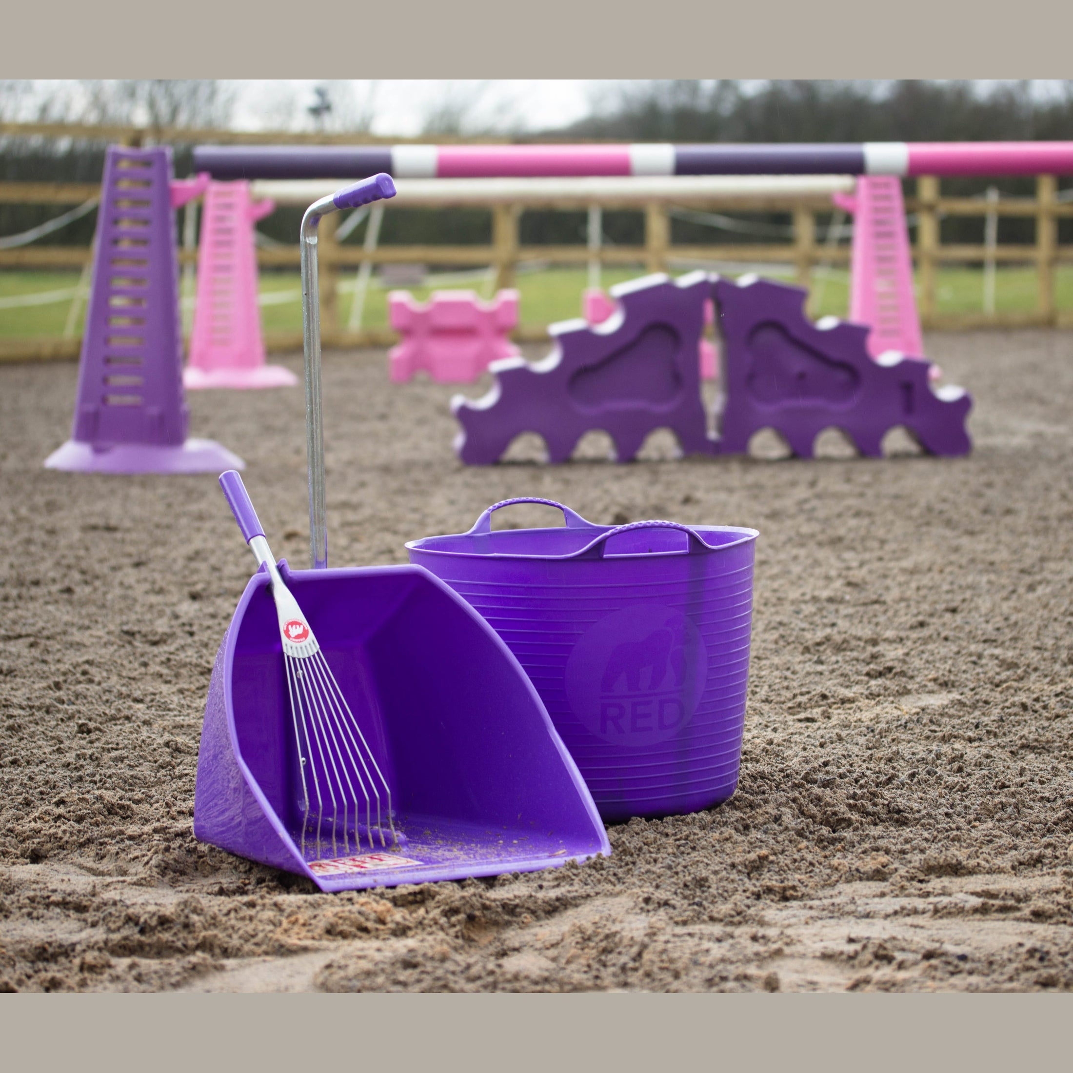 Big Tidee & Short Metal Rake - Purple (Big Tidee + Rake)