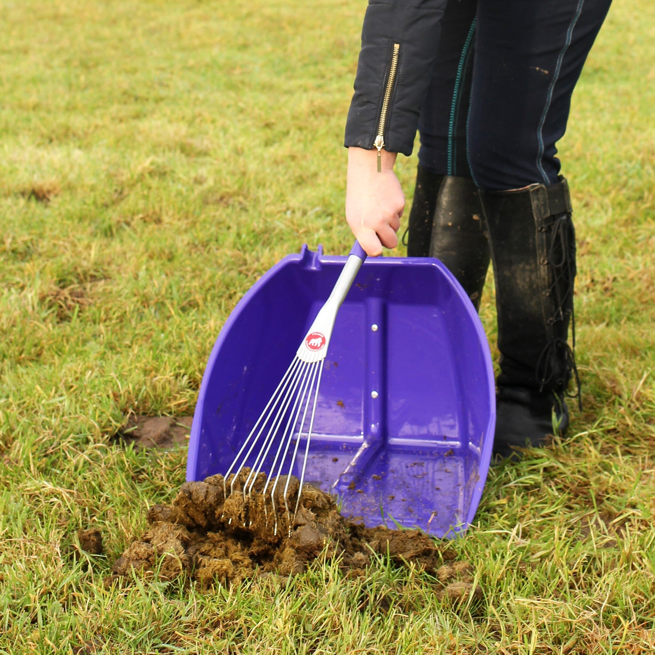 Big Tidee & Short Metal Rake - Purple (Big Tidee + Rake)