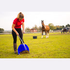 Red Gorilla Big Tidee and Long Metal Rake Bundle - Blue
