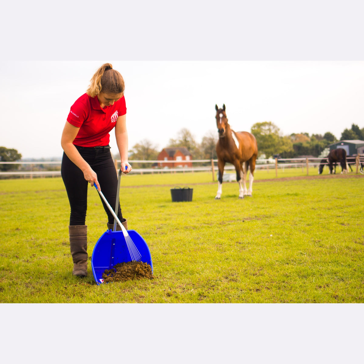 Red Gorilla Big Tidee and Long Metal Rake Bundle - Blue