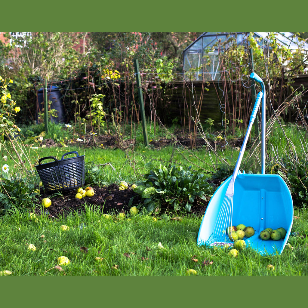 Red Gorilla Big Tidee and Long Metal Rake Bundle - Sky Blue