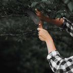 Barebones Timber Saw