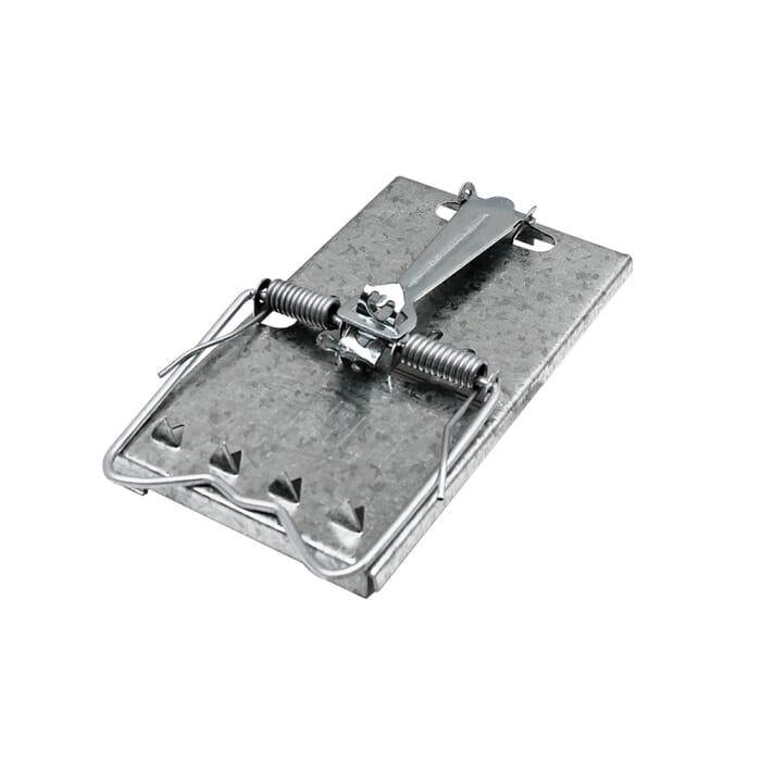 STV Selfset Rat Trap