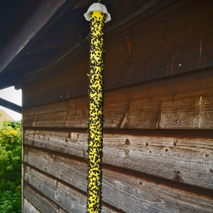 STV XL Fly Stick - 60cm