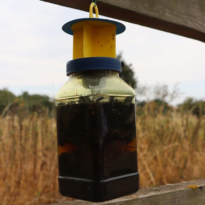 STV XL Fly Catcher Outdoor - Twinpack