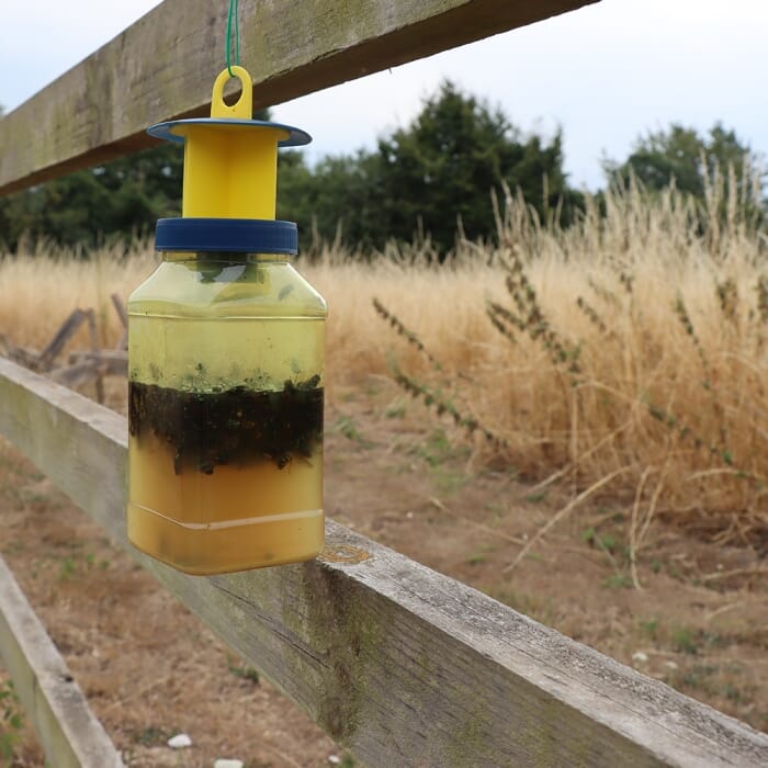 STV XL Fly Catcher Bait Refill Sachet - 6-Pack