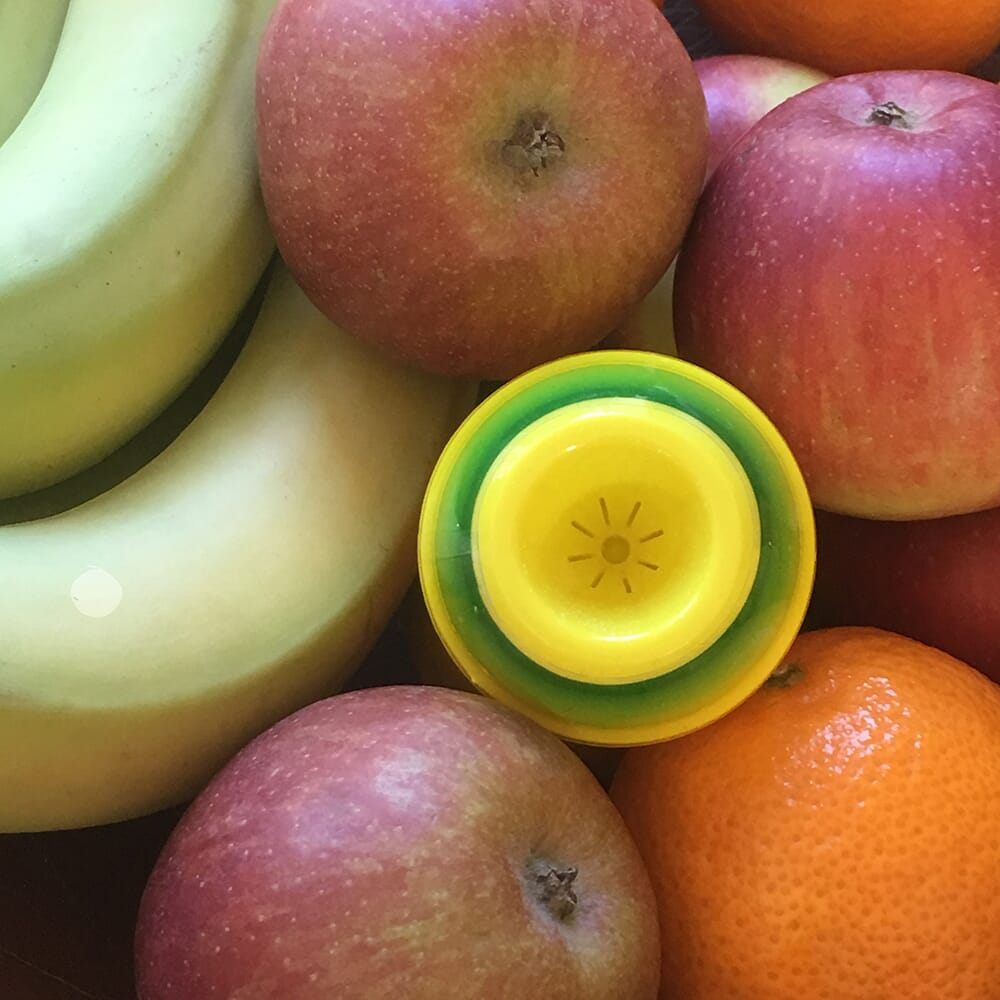 STV Ready-Baited Fruit Fly Trap