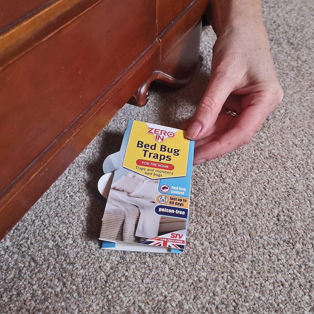 STV Bed Bug Trap - 5-Pack